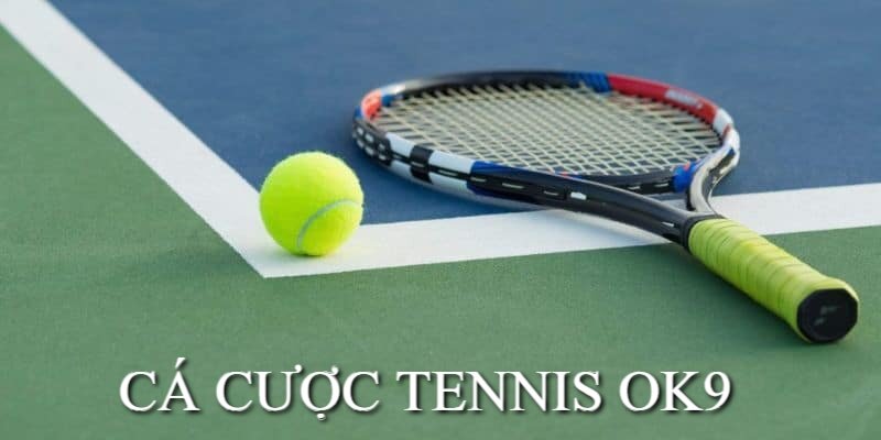 Cá cược tennis thu hút người chơi tại sảnh cược thể thao OK9